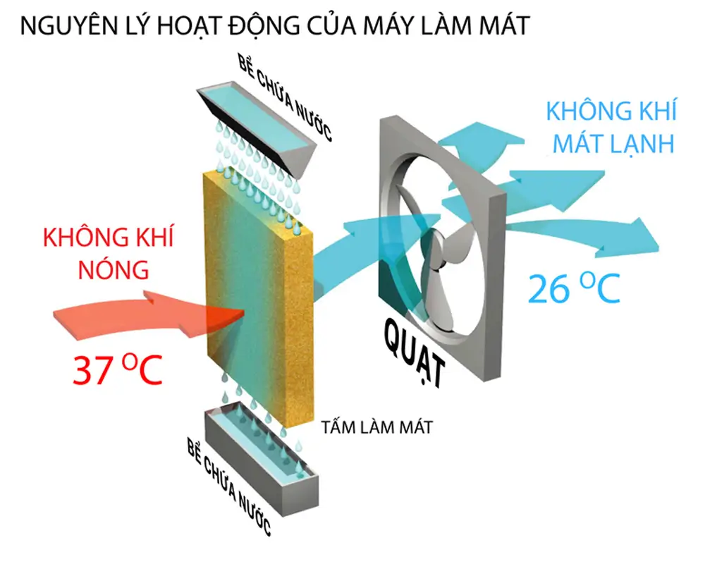 Máy làm mát Daikiosan DM105 Nguyên lý hoạt động của máy làm mát